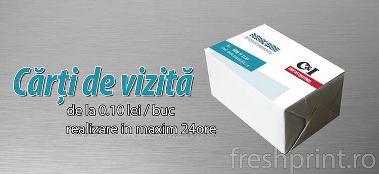 Carti de vizita tipografie cv-Car-Service-carti-de-vizita